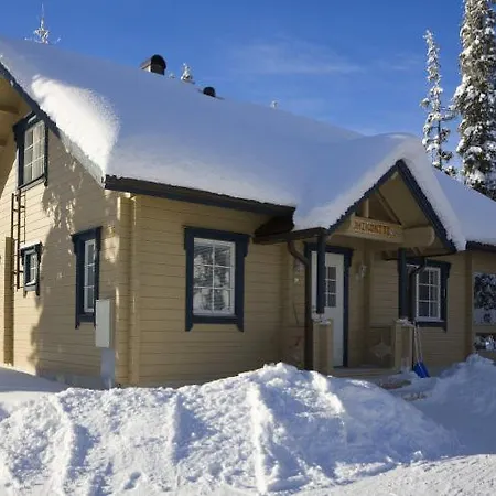 Loma-asunnot Tuohikontti