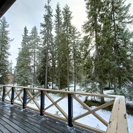 Tuohikontti * Syote
