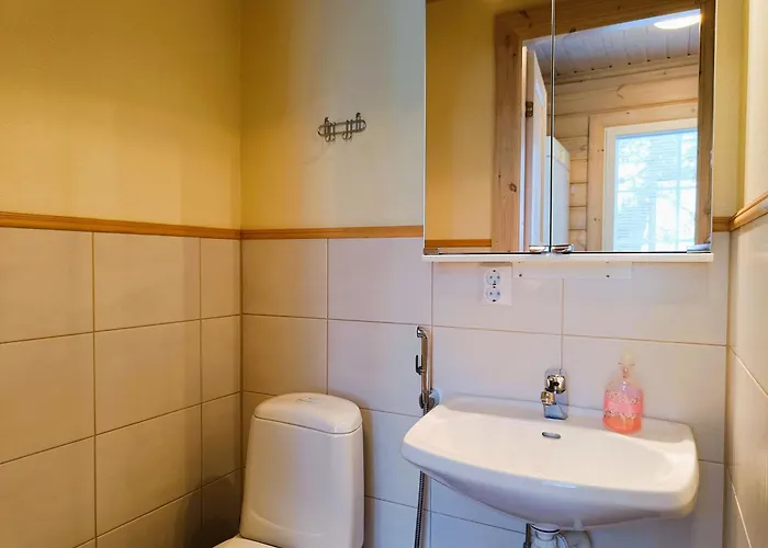 Tuohikontti Semesterbostad Syöte