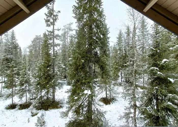 Semesterbostad Tuohikontti Syöte